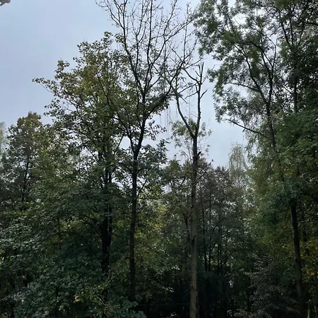 Forest View - Z Balkonem - Jaszowiec Ustroń