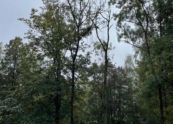 Forest View - Z Balkonem - Jaszowiec אוסטראון